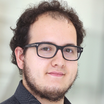 Dr. Nicolo Ferri picture